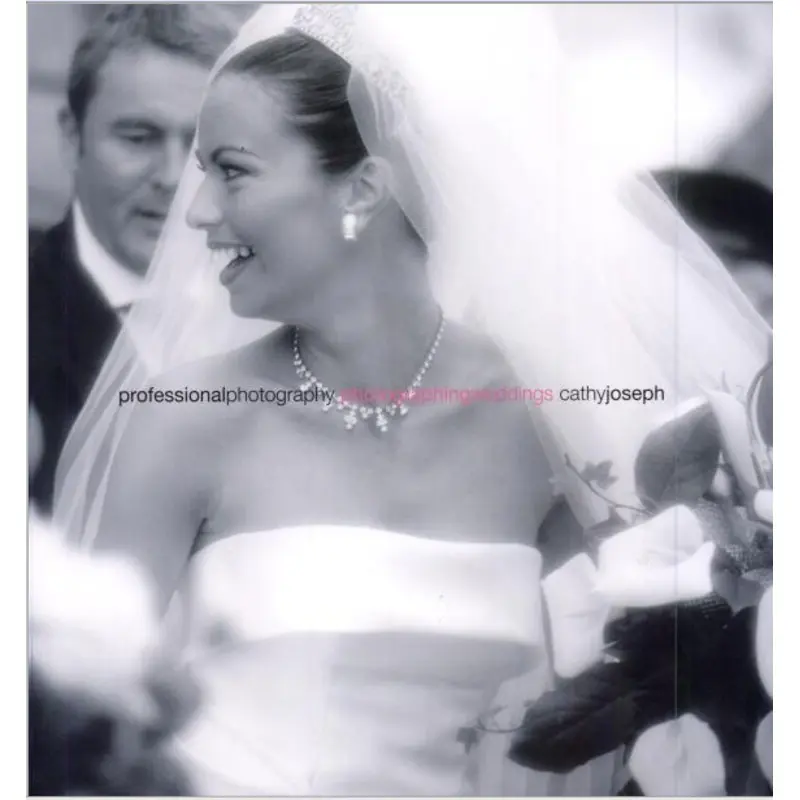 Professional Photography: Photographing Weddings