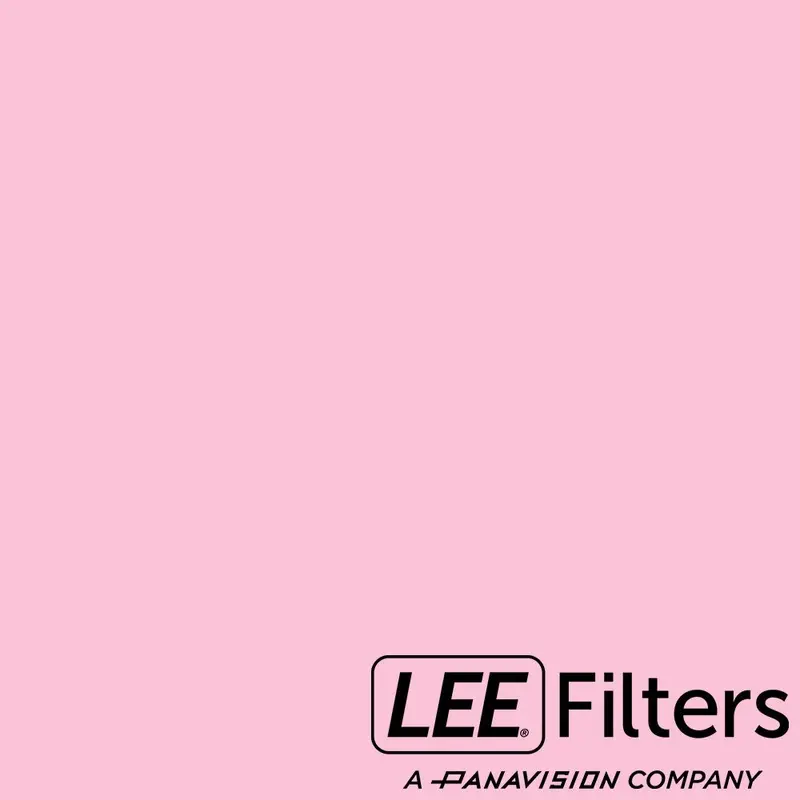 Lee 247 Minus Green - 20x24"