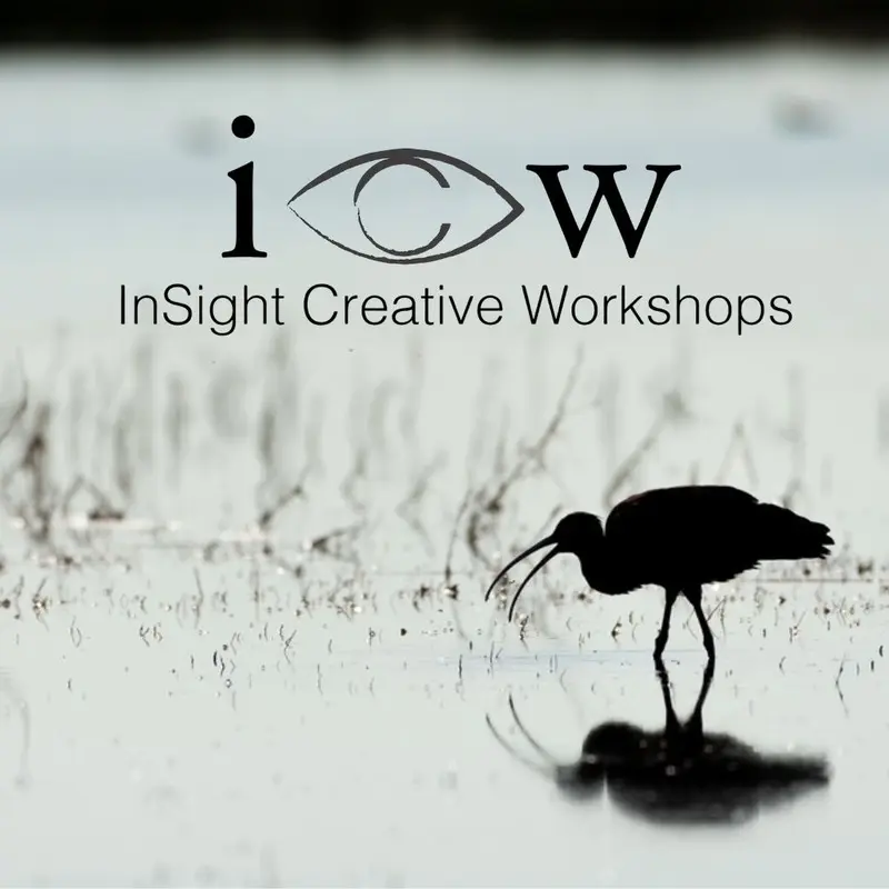 Introduction to Lightroom - Tue. Oct. 21, Thur. Oct. 23, Tue. Oct. 28 & Thur. Oct. 30