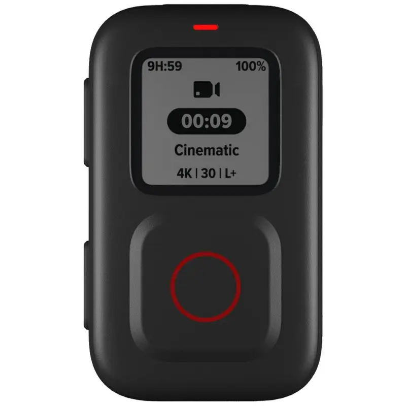 GoPro The Remote for HERO 9/10/11/12