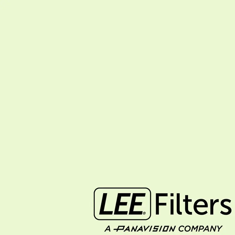 Lee 733 Damp Squib - 20x24"