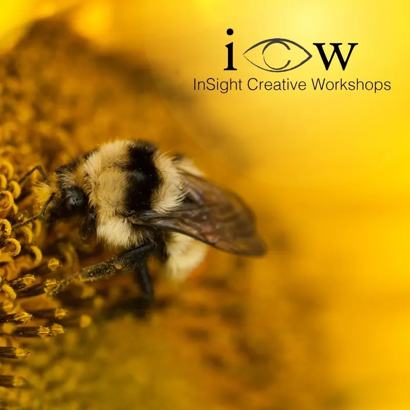 Macro Photo Workshop - Thurs. Sept. 18, Sat. Sept. 20 & Sun. Sept. 21