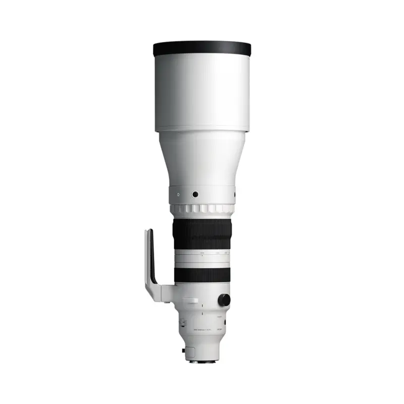 Sigma 300-600mm f/4 DG OS Sports Lens