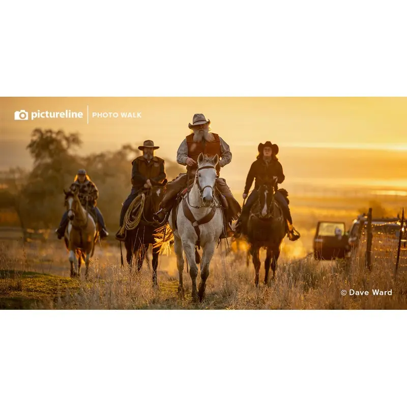Bison Roundup at Antelope Island State Park - Oct 28th, 2023