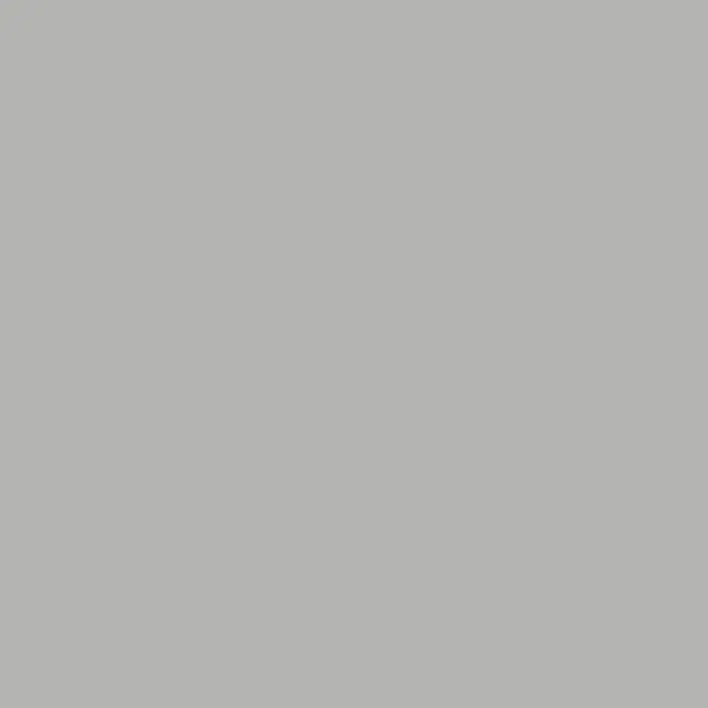 Superior Slate Grey 107"x12 Yds. Seamless Background Paper (58)