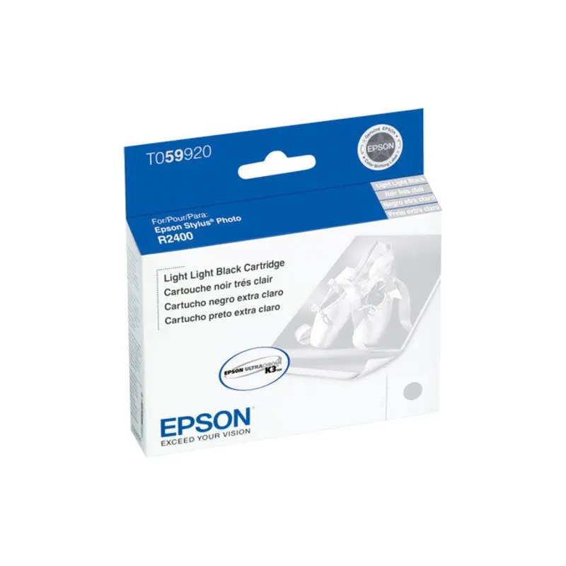 Epson T059920 R2400 Ink Light-Light Black