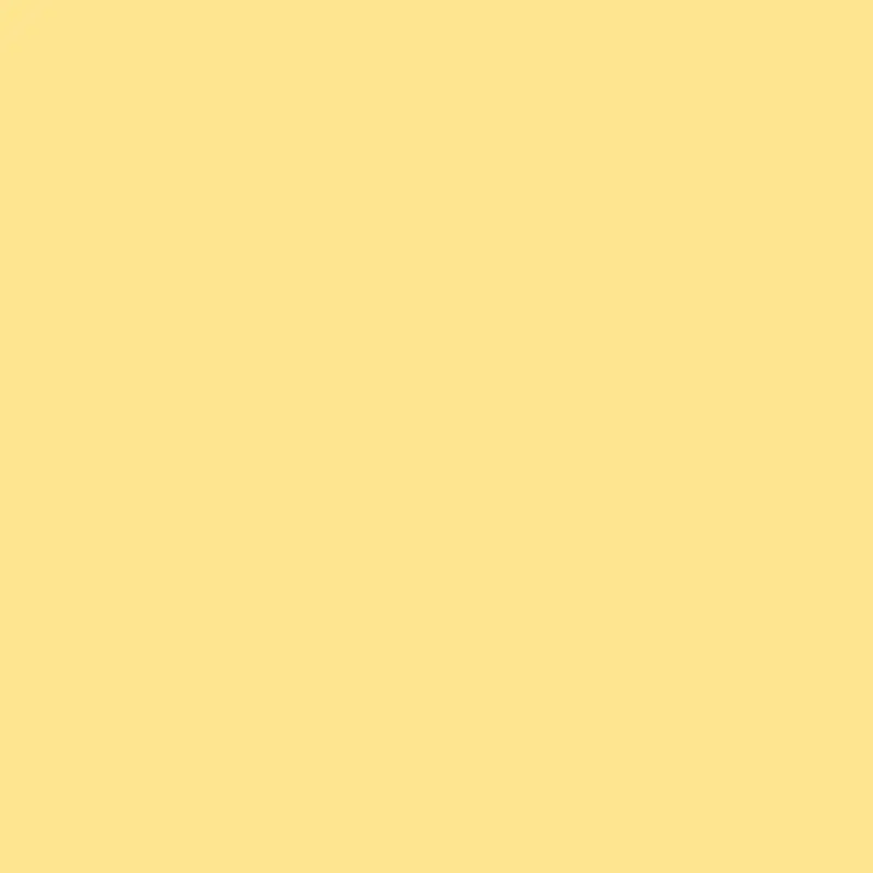 Lee Filters Lee Yellow 24"x21 (765)