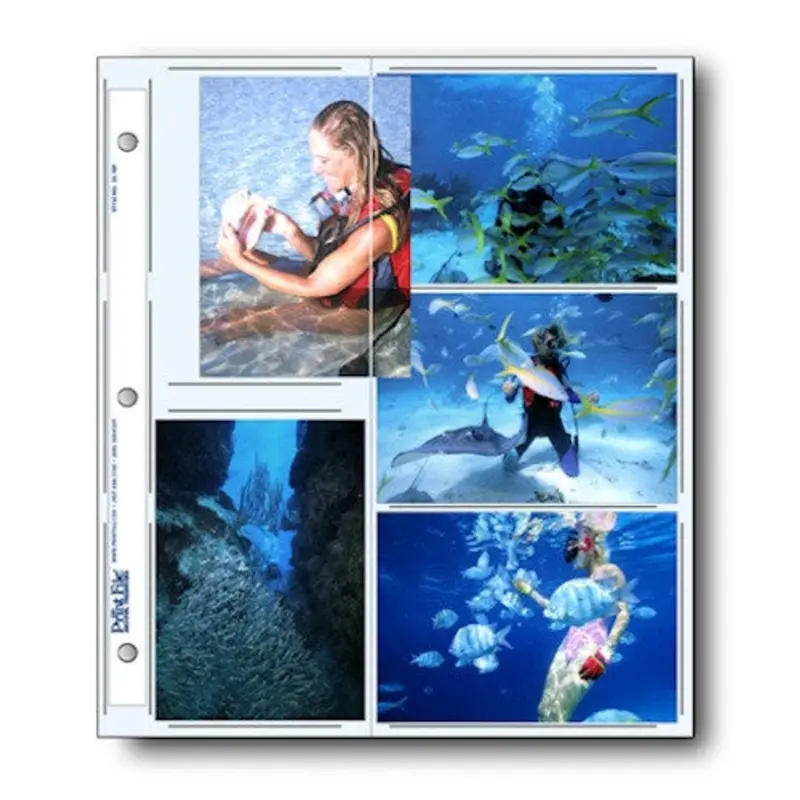 Print File 3X5 10 prints 25