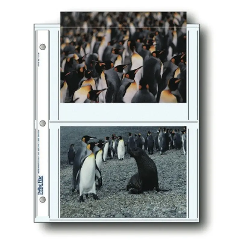 Print File 5X7 4 prints 25
