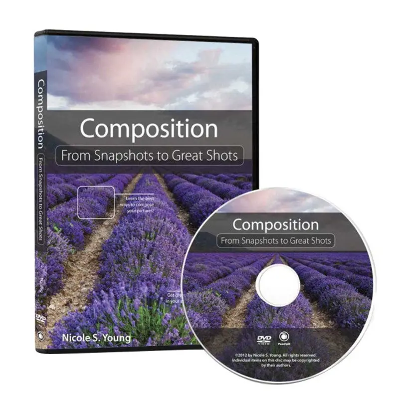 DVD: Composition: From Snapshots to Great Shots