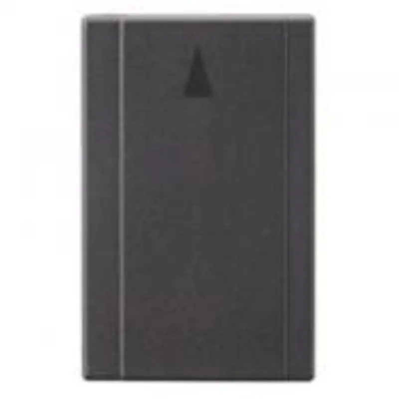 Panasonic 3.6V Battery (FX1,FX5,F1)