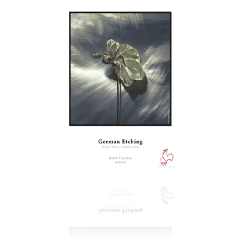 Hahnemuhle D-German Etch 310 11x17 50