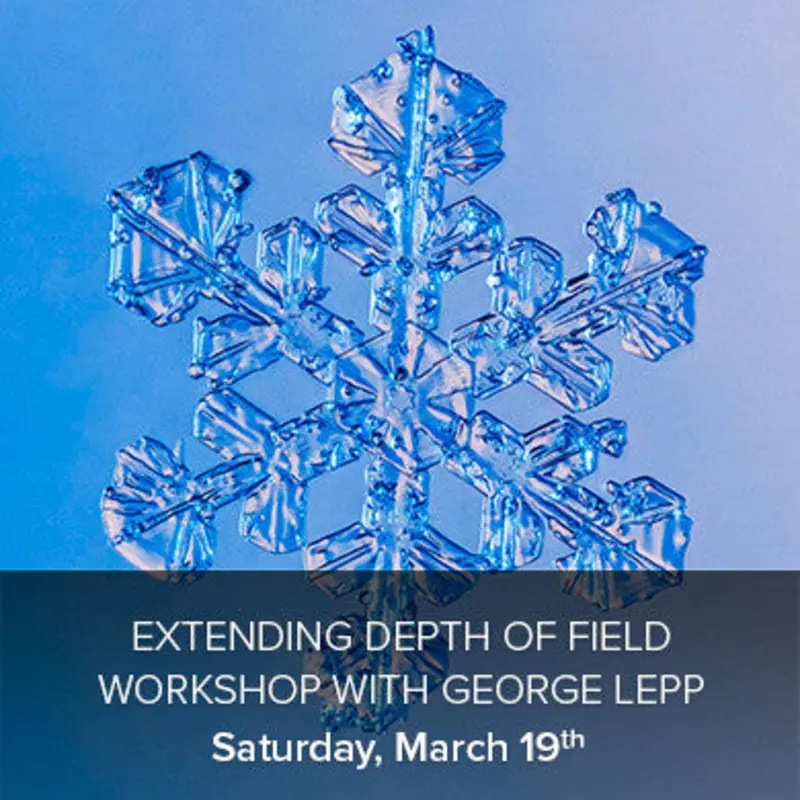 Extending Depth of Field with George Lepp Workshop (March 19th)