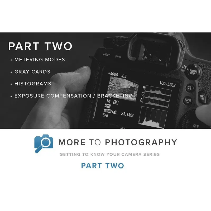 More to Photography Part Two (September 16th)