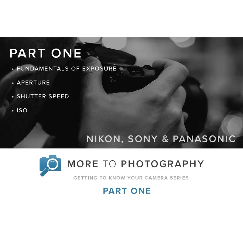 More to Photography Part One - Nikon, Sony & Panasonic (January 12th)