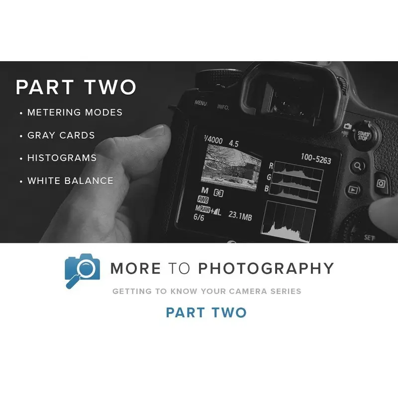 More to Photography Part Two (October 20th)