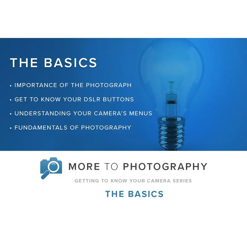 More to Photography - the Basics (January 6th)