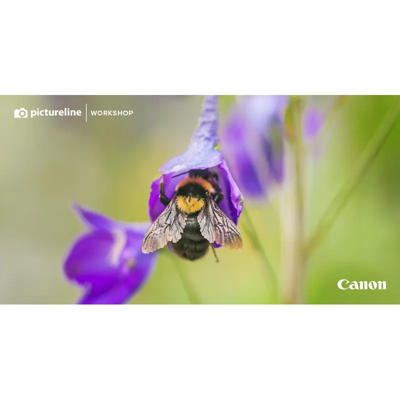 Macro Photography Workshop at Red Butte Garden  May 1, 2021