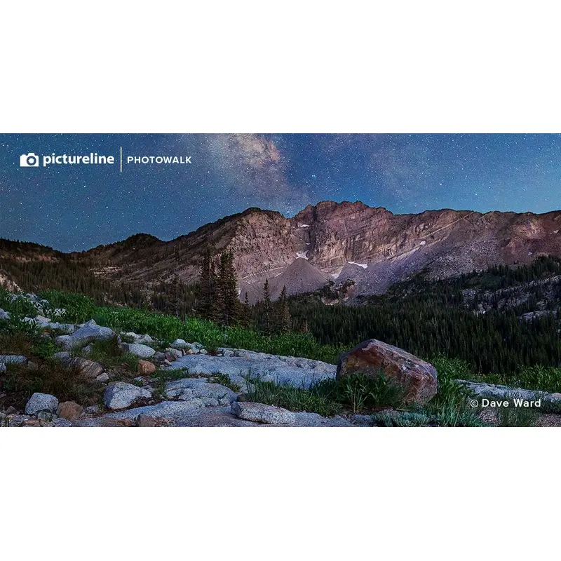 Capture the Stars at Alta - July 29th