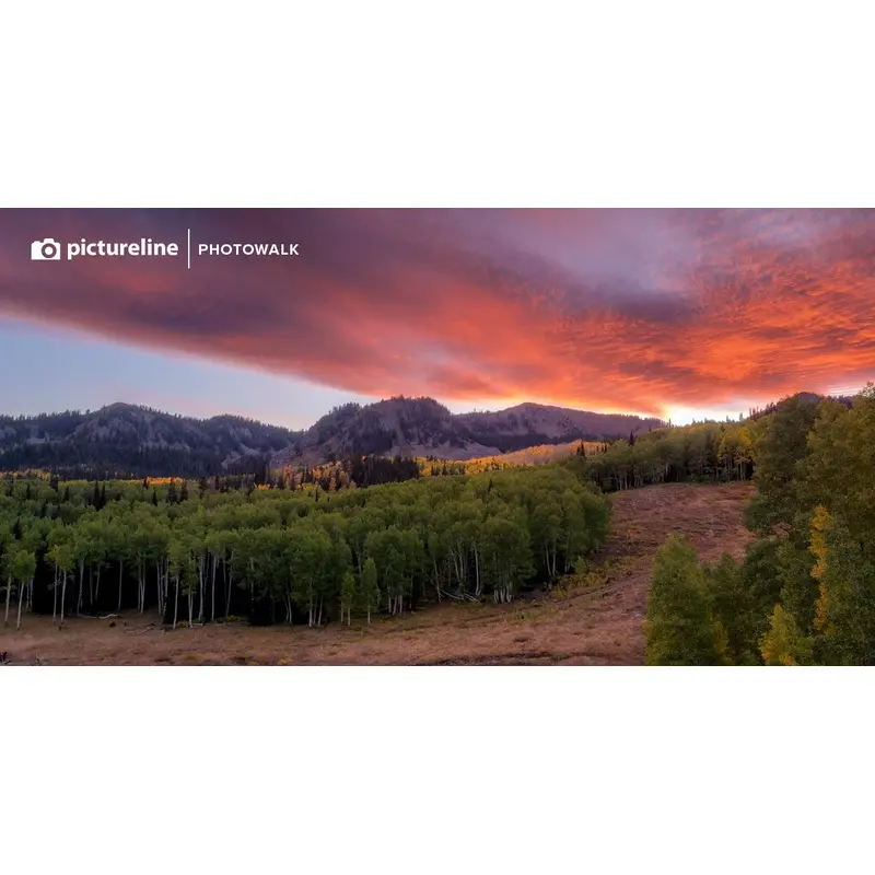 Capture the Fall Colors - Oct 14th, 2023