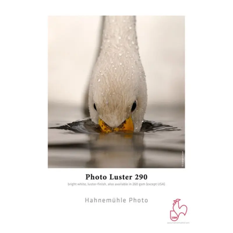 Hahnemuhle Photo Luster 290 Inkjet Roll Paper | 24" x 100'