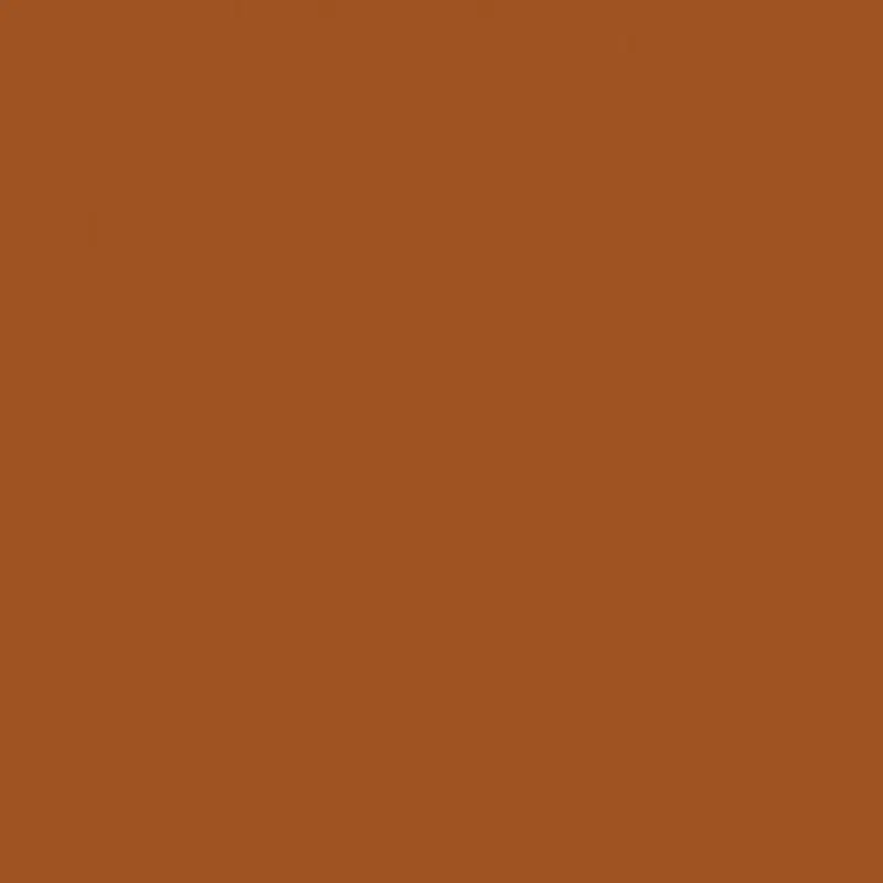 Savage Widetone Seamless Background Paper | 107" x 36',  #17 Sienna