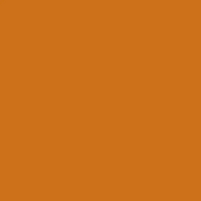 Savage Widetone Seamless Background Paper | 26" x 36',  #17 Sienna