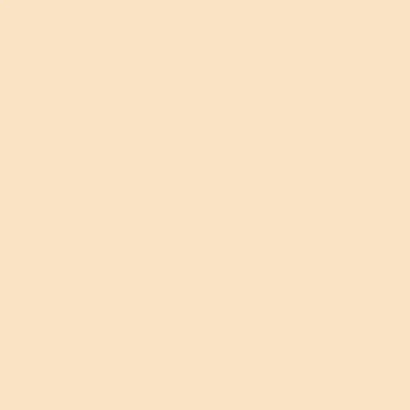 Savage Widetone Seamless Background Paper | 53" x 36',  #19 Egg Nog