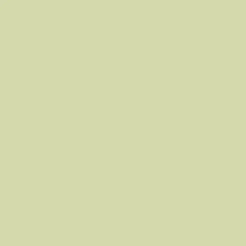 Savage Widetone Seamless Background Paper | 53" x 36',  #23 Sea Green