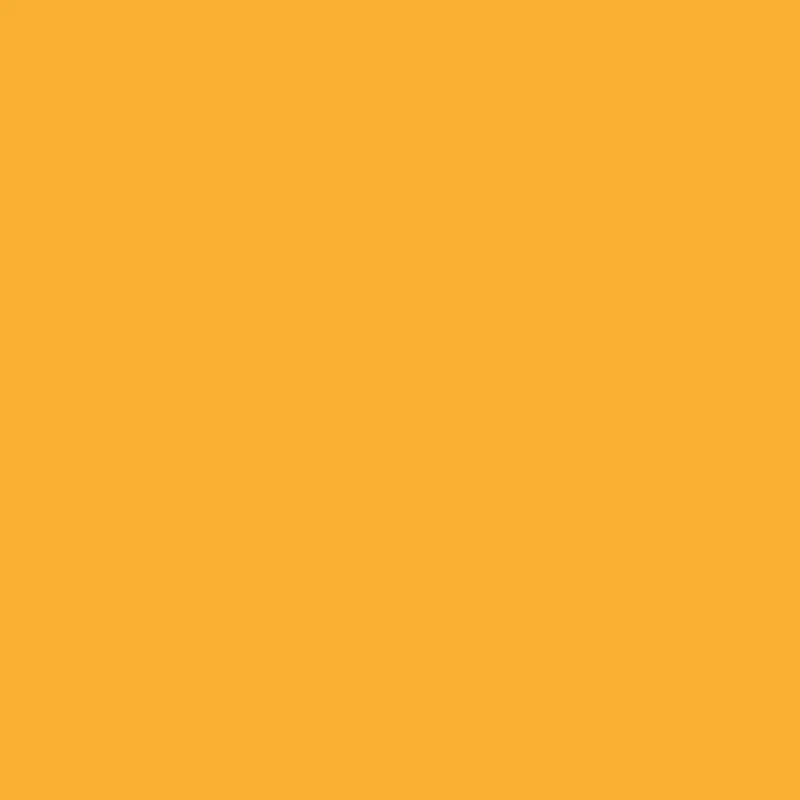 Savage Widetone Seamless Background Paper | 53" x 36', #43 Marmalade