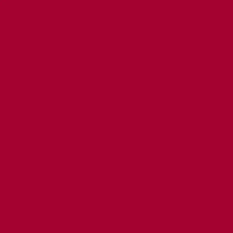 Savage Widetone Seamless Background Paper | 26" x 36', #81 Rustic