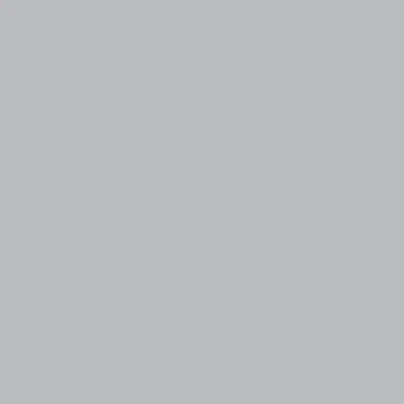 Savage Widetone Seamless Background Paper | 53" x 36', #09 Stone Gray