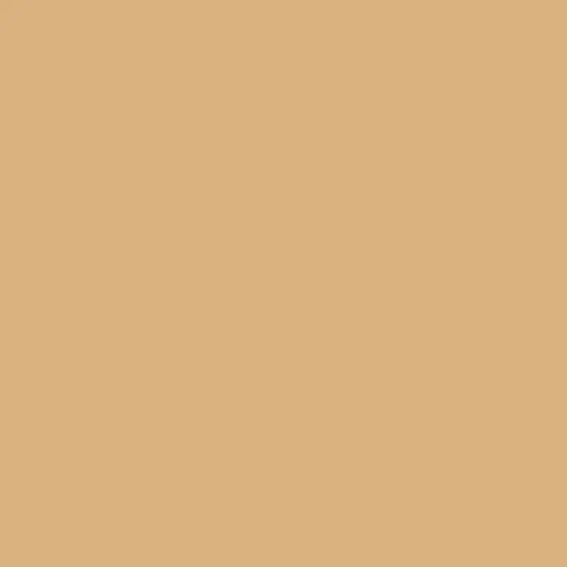 Savage Widetone Seamless Background Paper | 53" x 36', #76 Mocha