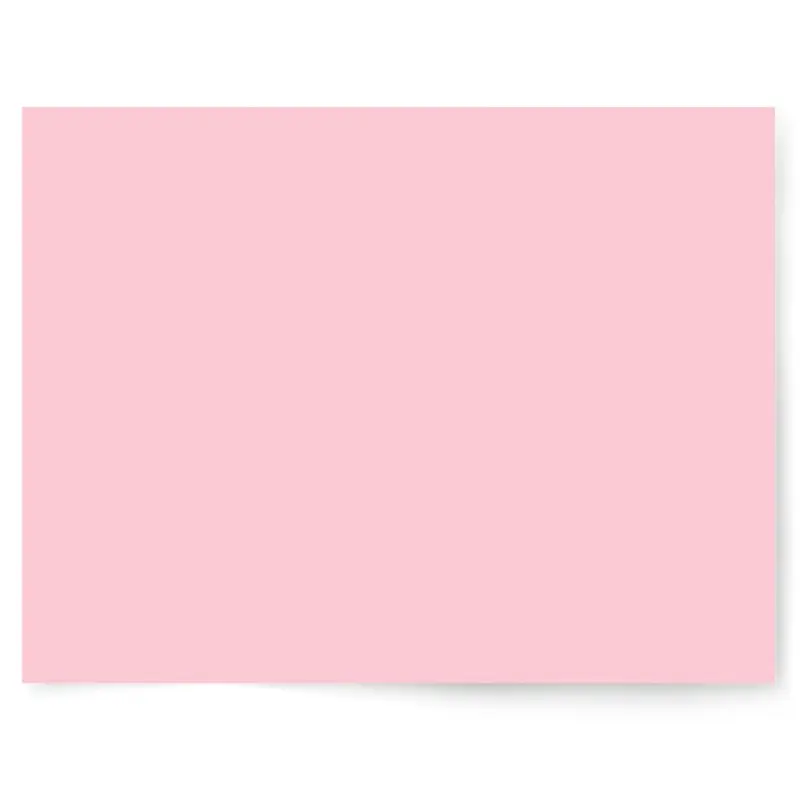 Backdrop Collective Soft Bubblegum Pink Vinyl Flat Lay | Single-sided Backdrop