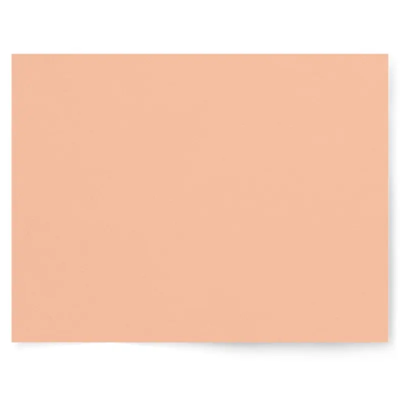 Backdrop Collective Pastel Peachy Keen Vinyl Flat Lay | Single-sided Backdrop